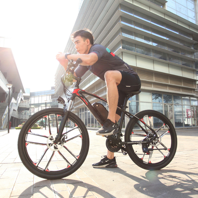 จอ LCD 26&quot; จักรยานเสือภูเขาไฟฟ้า DDP Delivery Bicycle